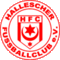 Hallescher FC